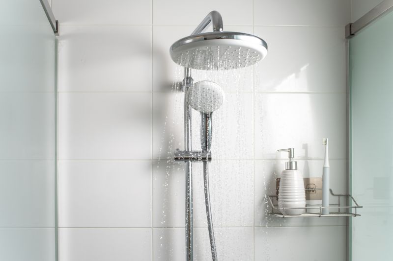 Elegant Shower with Rain Shower Head